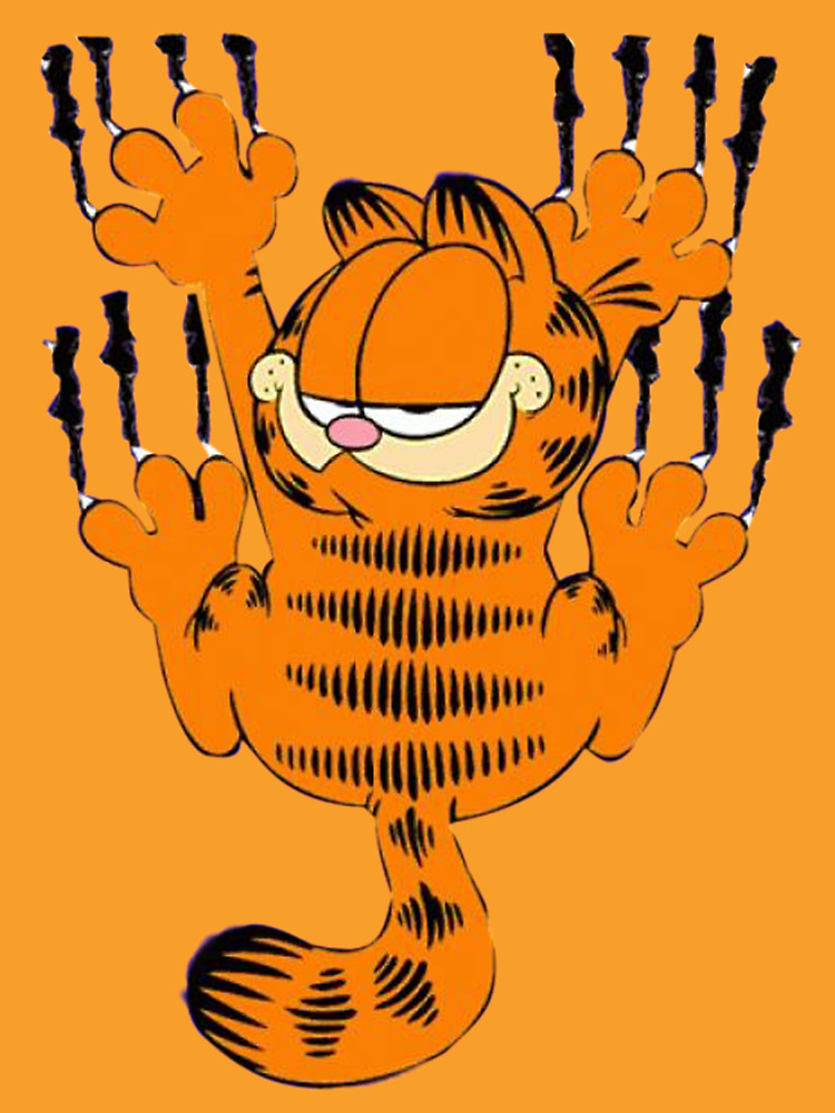 Garfield T-Shirt India