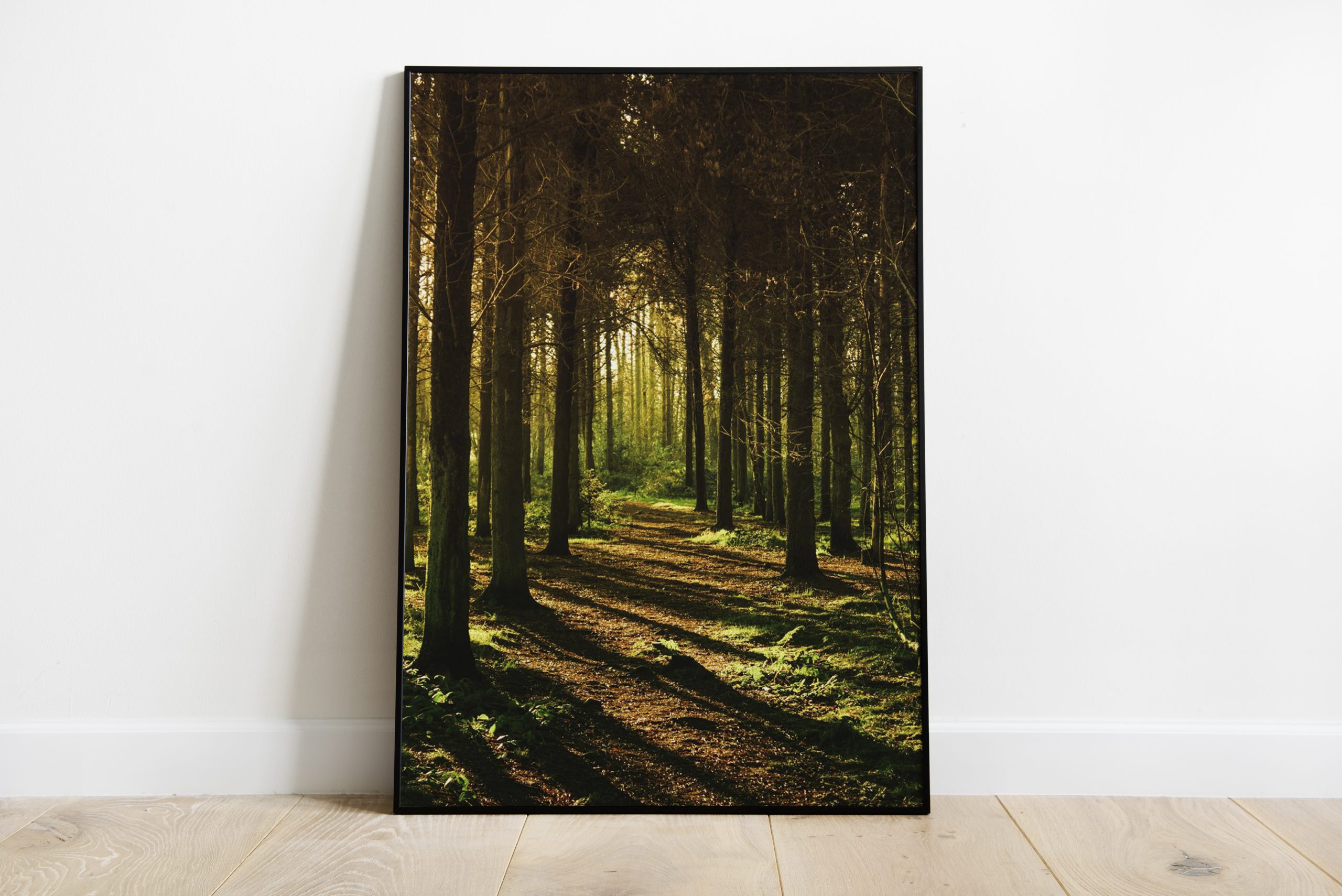 Forest Poster | Swag Shirts