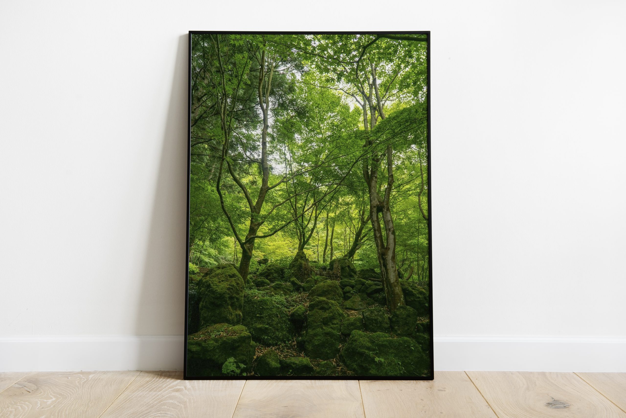 Forest Nature Poster | Swag Shirts